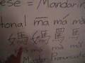 Introduction to Mandarin Chinese (MTK Style!)