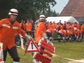 Schlu�dorf Heimberg Fuchs 2007 - Heidberg