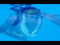 Homemade Scuba Gear