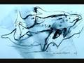Sea life