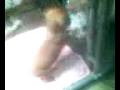 videos de Dogbook Movie: 