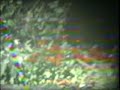 Part I: Fort Monmouth Halfpipe Vert Skateboarding - 80's