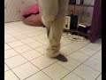 brunei shuffle master