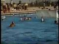Clovis West game winning shot