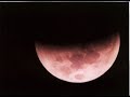 Hace Diez Lunas - Frida