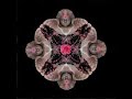 Dj spi-Les Djinns-Dj spi psychedelic remix