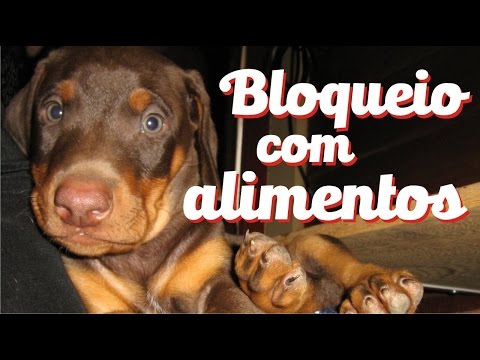 Imagem de Amostra do You Tube