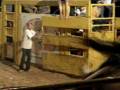videos de expoaveco