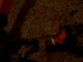 videos de the stupid spider