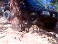 Video screenshot