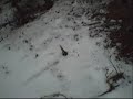 How to shoot