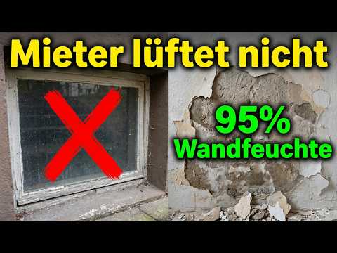 baubegleitung