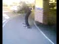 Weston Favell