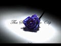 Una Rosa Blu