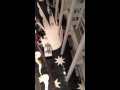Lion king flood in Miami