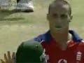 Cricket Cricket