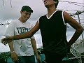 Jaja Cover