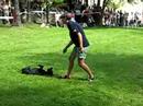 dogdancing dogdancing