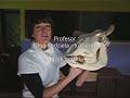 Liceum Ogólnokszta?c?ce w L?dku Zdroju Liceum Ogólnokszta?c?ce w L?dku Zdroju