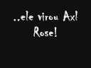 Holy Biba Lucas virou um rockstar Holy Biba Lucas virou um rockstar