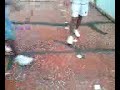duelo do passinho