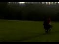 ladyh-h-cantering-2.html