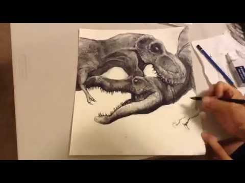 how to draw v rex