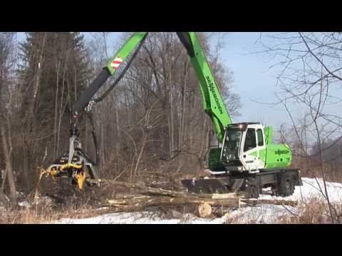 how to harvest timber in wood