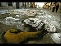 OAXACA - La muerte chiquita