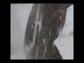 Click here to watch this video SKS INTRO.wmv