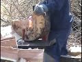 Log Splitter Log Splitter
