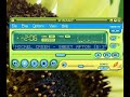 Nickel Creek - Sweet Afton