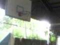 videos de OLPMC 05-06 : 3 Points