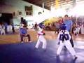 Taekwondo-Match