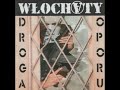 wlochaty-pani-a.html