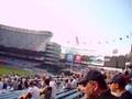 Yankee Stadium in Section 39