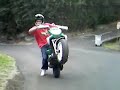 wheeling scooter 974
