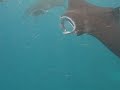 Manta Encounter 3