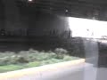 todo grau xd
