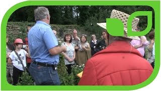 Führung durch den Lubera-Mundraubgarten auf Schloss Ippenburg: Kräuselkrankheit bei den Pfirsichen