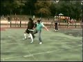 futsal fijo cointe futsal fijo cointe