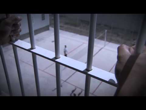 youtube-img