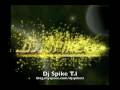 videos de Dj Spike T.I - Kassav Fabiola - Patrick St-Eloi - Zouk