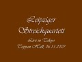 leipzig string quartet live from toppan hall tokyo, 06.11.2006. schubert d 804, 1 movement, part 1.