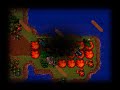 Tibia - Selena PK - Sooner or Later