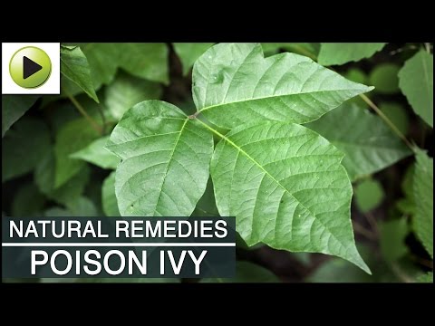 how to cure poison ivy naturally
