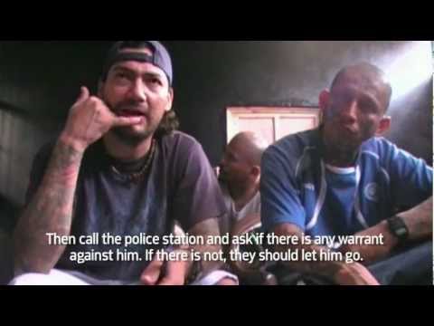 ms 13