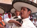 Fiestas de Tudela 08 - Mariachi Mexicano - Beterri