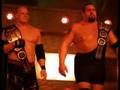 wwe kane