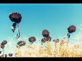 Camino Chronicle - Walking to Santiago #3 Camino Chronicle - Walking to Santiago #3
